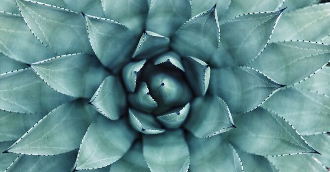 Understanding Acupuncture: Debunking Common Myths image