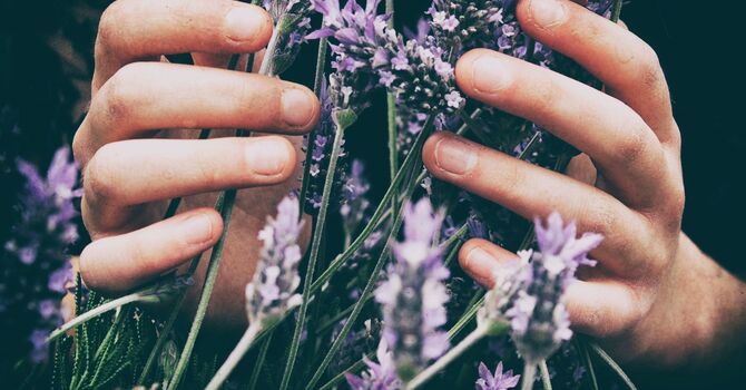 Understanding Acupuncture: Debunking Common Myths image